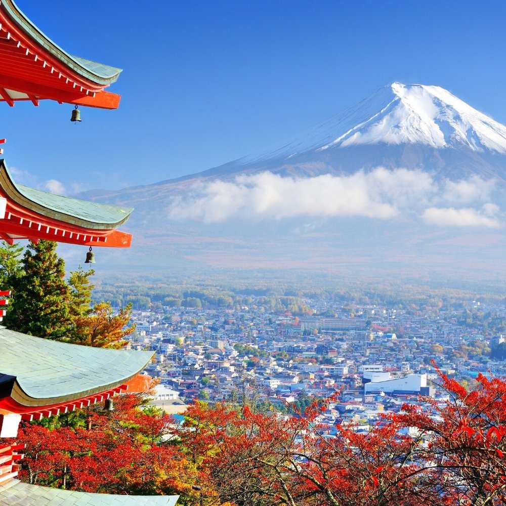 Meet your Posher, Ernest